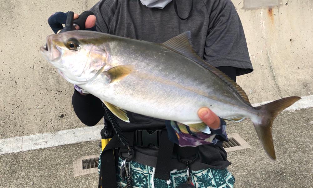 夏の終わりのシオは元気です！