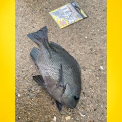 久しぶりの雨からの釣り始め