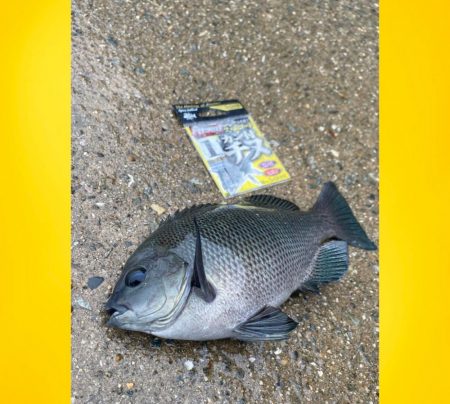 久しぶりの雨からの釣り始め