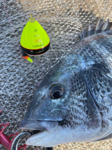 子供達とチヌ釣りへ❗️