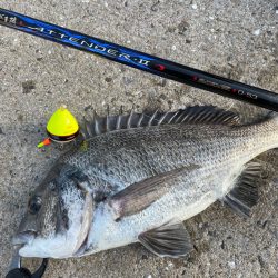 アテンダーⅡ 0号でチヌ釣り