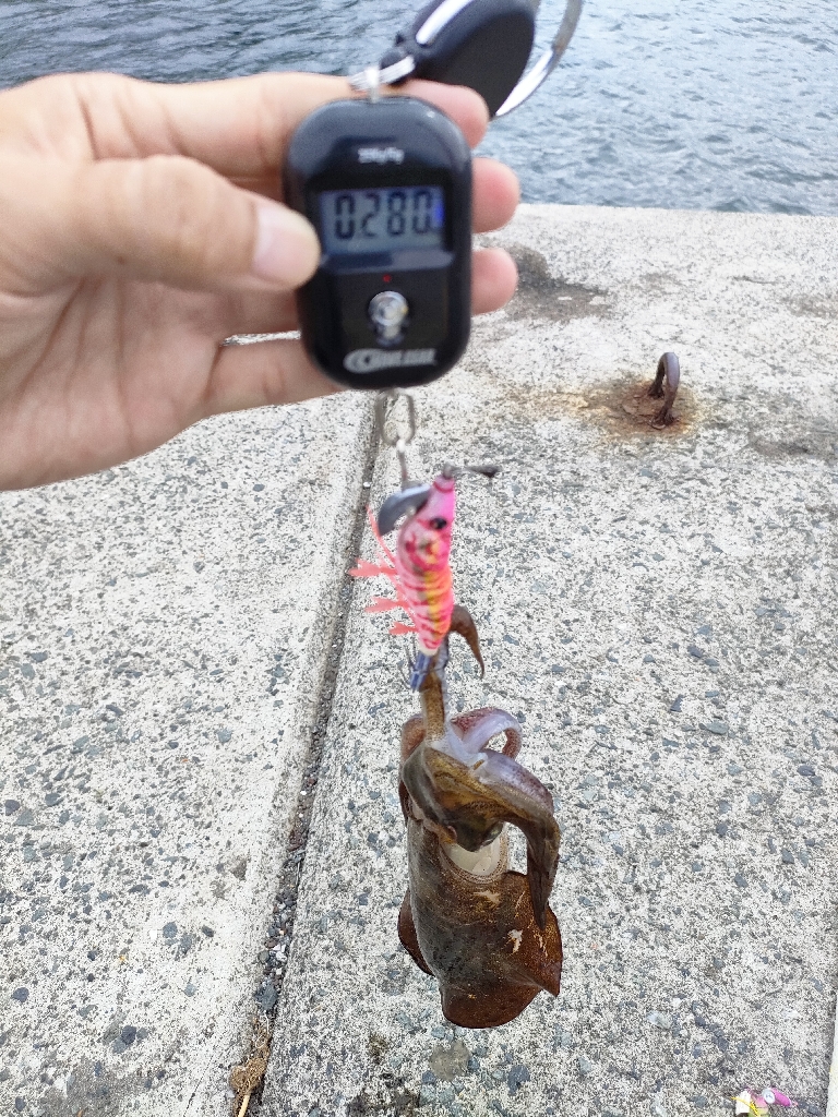 浜田の地磯釣行一日目！