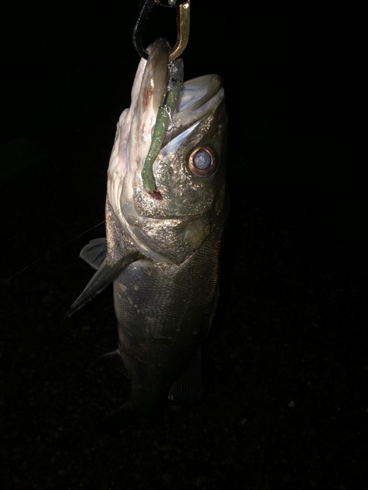 まだ水温高め