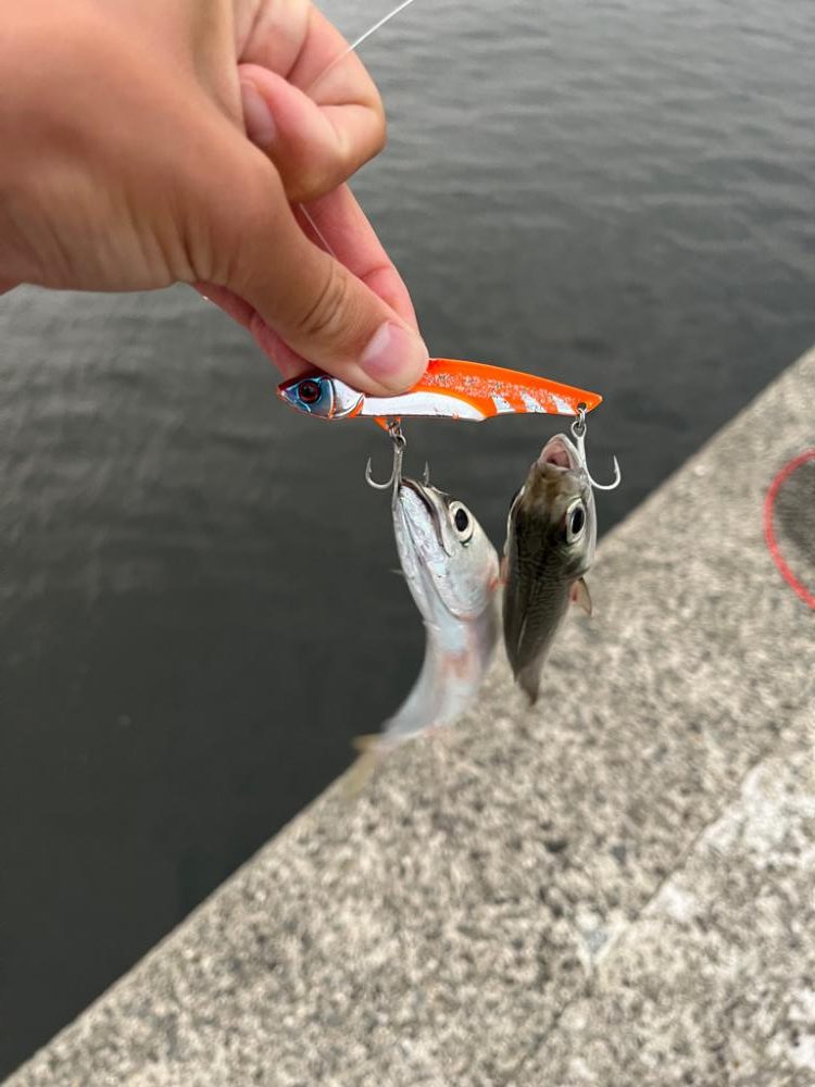 武庫一 秋の青物祭り