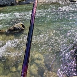 終盤の鮎釣り　飛騨川と白川