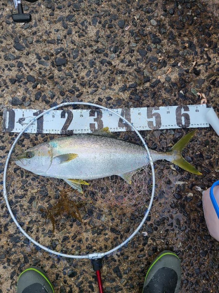 今年一番の釣果