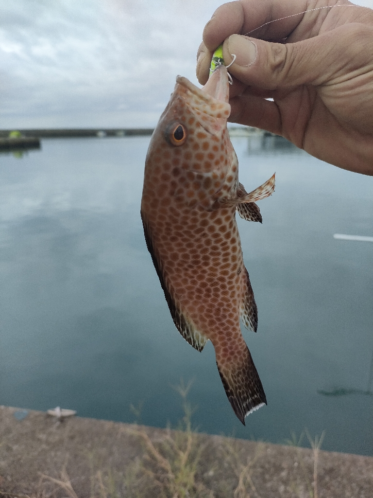 南紀釣行初日