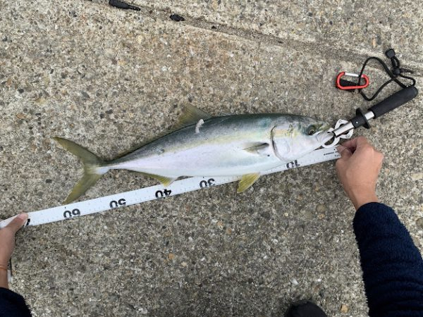 タチウオ不発も飲ませヒット