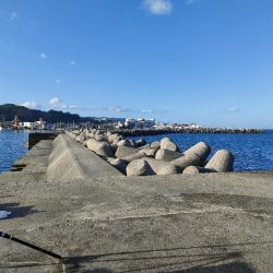 朝まづめ、淡路島の富島漁港にてメジロ