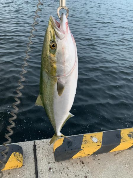 今週も釣れるか？、