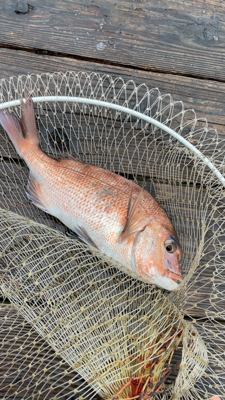 雨の海恵ふ