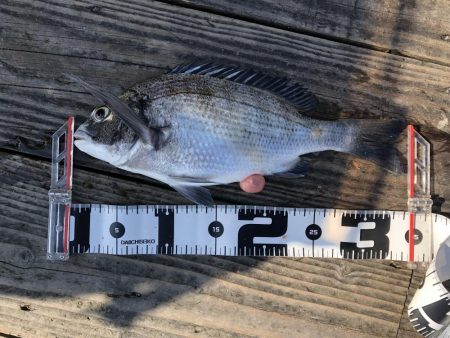 初の厳しい筏釣り