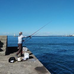 播磨新島のキス情報