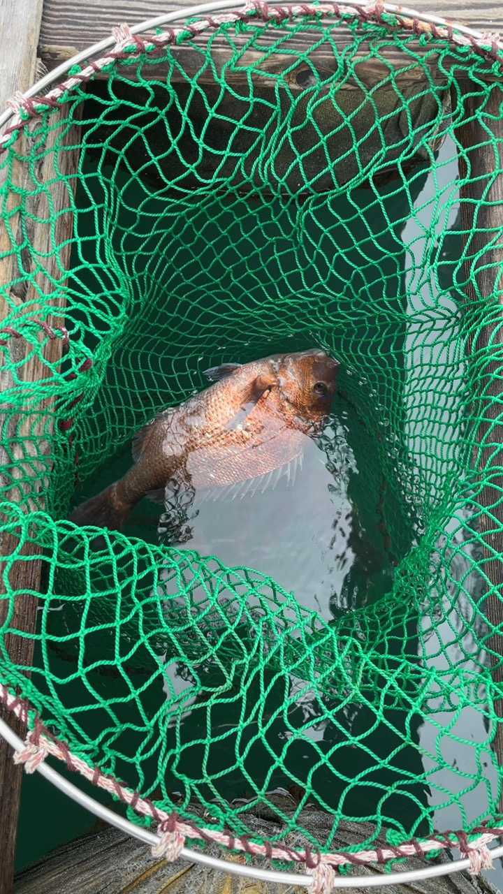 雨の海恵ふ