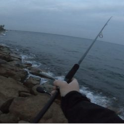 道路脇でまさかの釣果