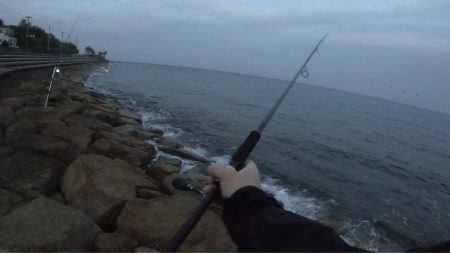 道路脇でまさかの釣果