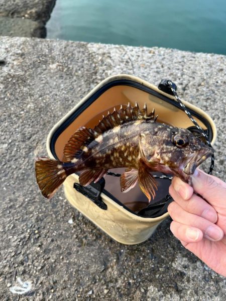 安物タックルでもちゃんと釣れるのか？