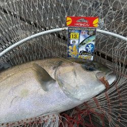 海恵さんで美味しいお魚狙いで☆