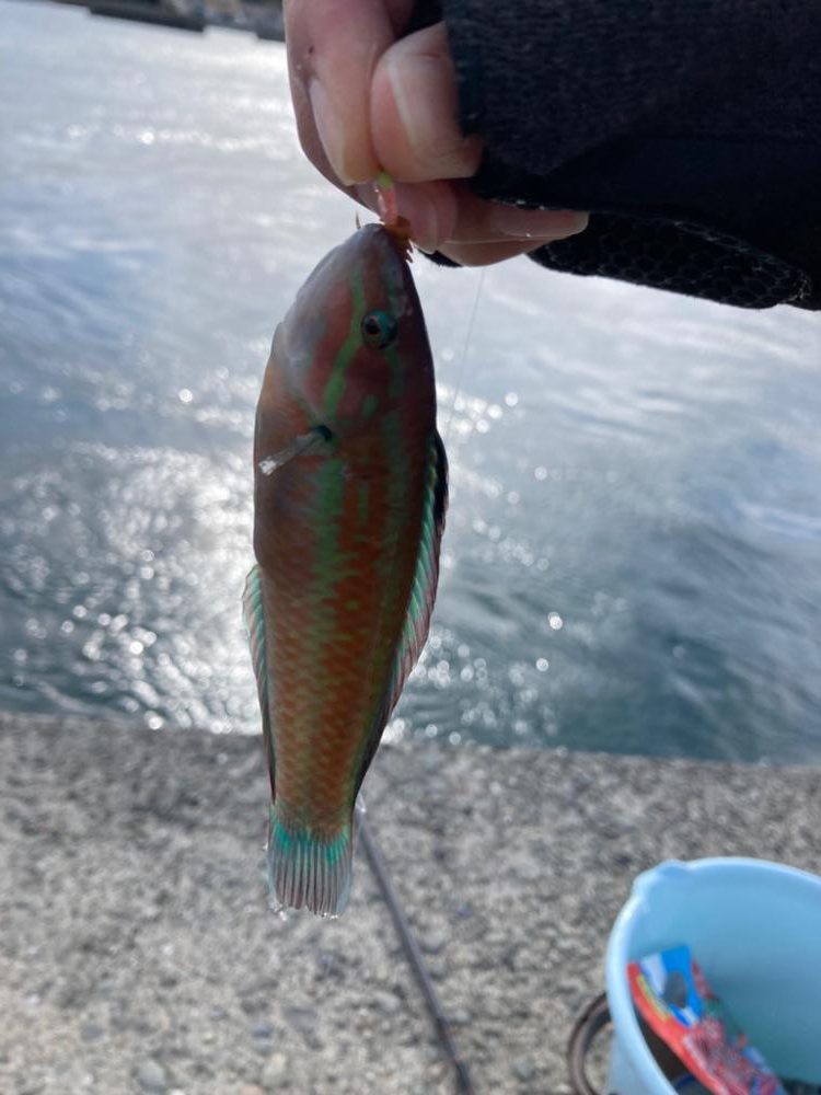 小物釣り