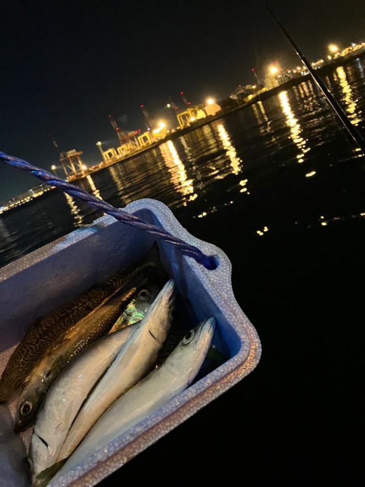 磯釣りの餌確保へ