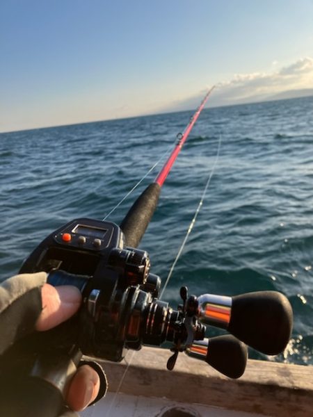 泉州丸さんで太刀魚