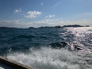 泉州丸さんで太刀魚