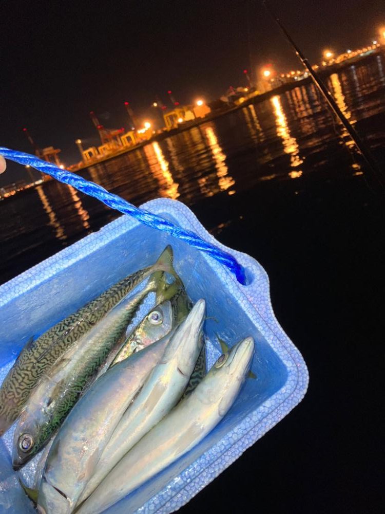 磯釣りの餌確保へ