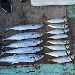 佐賀県仮屋湾レンタルボート