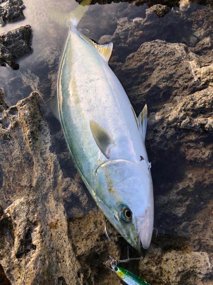 釣り初め