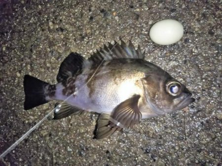 高活性のち喰い渋り