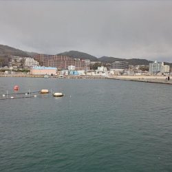 2023/01/28 兵庫県須磨釣行