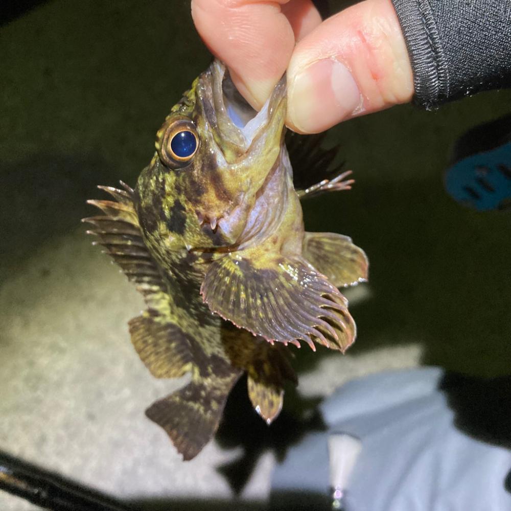 新年初小物釣り！