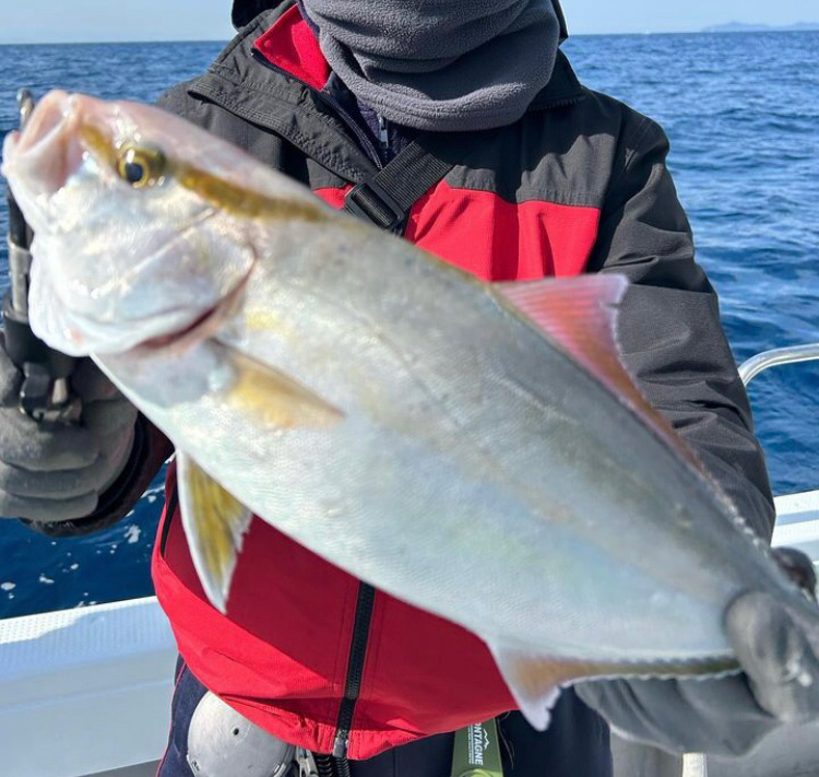 寒波以降の厳しさ脱出か