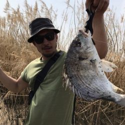 チニング　ボウズ続きからの釣果