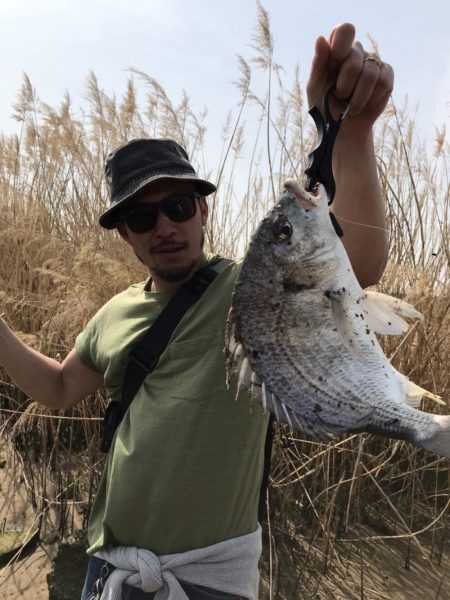 チニング　ボウズ続きからの釣果