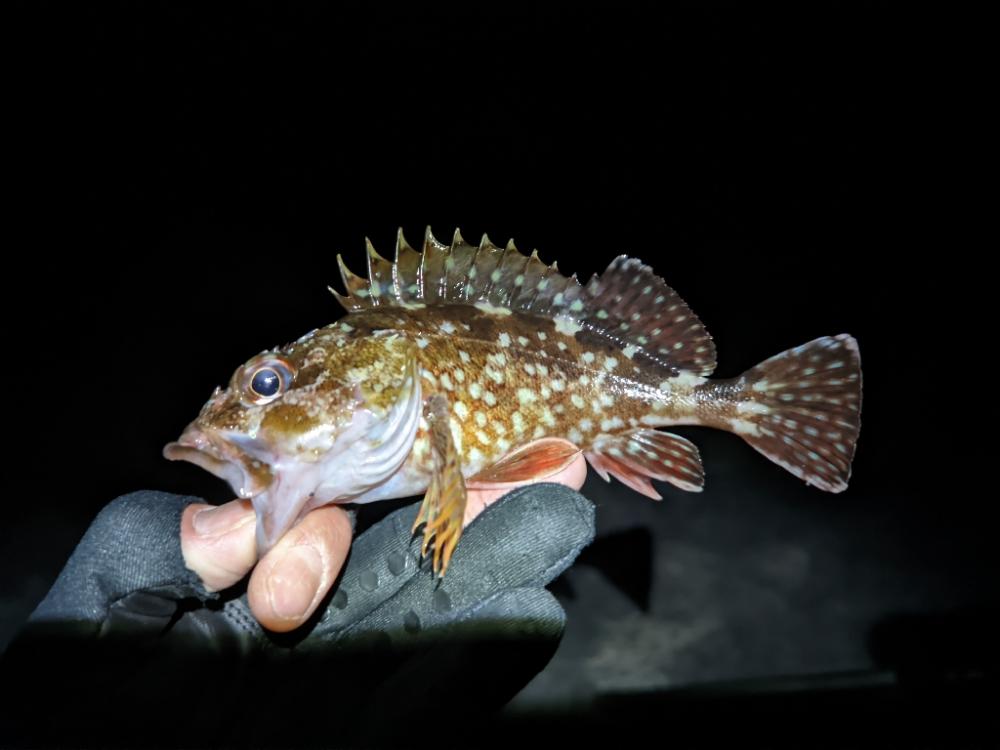 友達との釣りオール前半戦