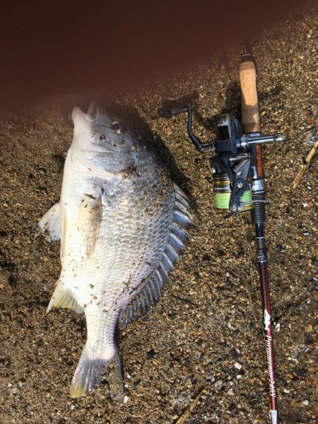 チニング　ボウズ続きからの釣果