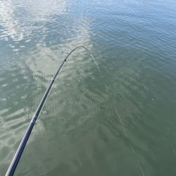 雨の後のヘチ釣り