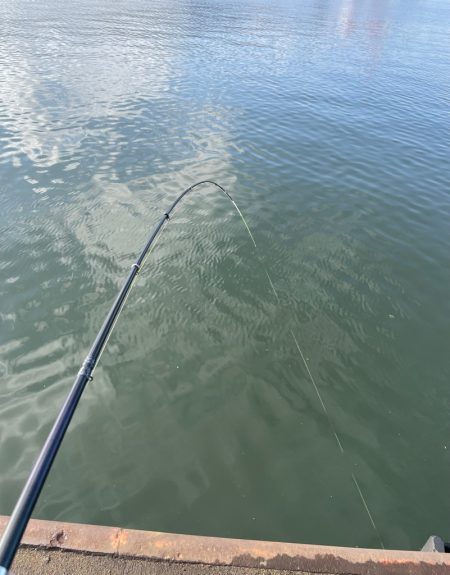 雨の後のヘチ釣り