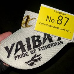 YAIBA磯祭り串本予選