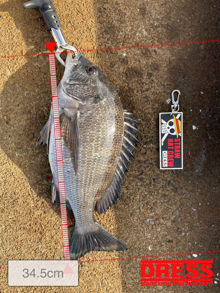 雨の後のヘチ釣り