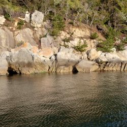 ノッコミ間近⁉宮島のチヌ釣り