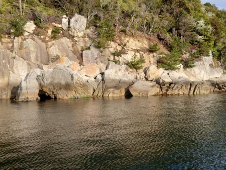 ノッコミ間近⁉宮島のチヌ釣り