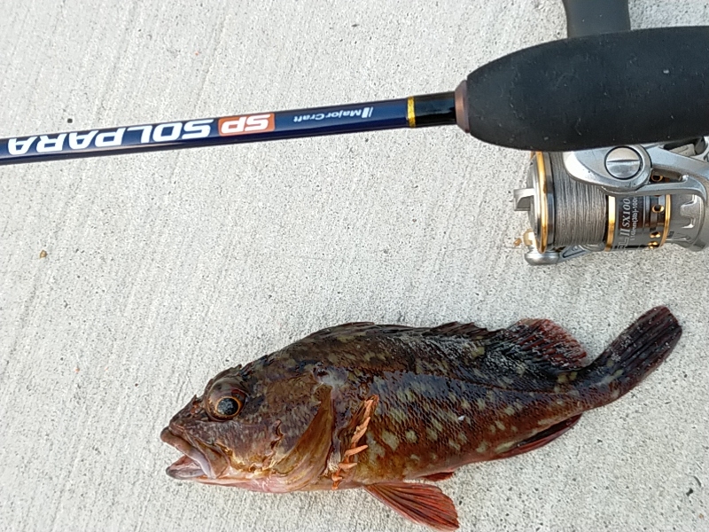 兵（つわもの）どもが夢の跡…