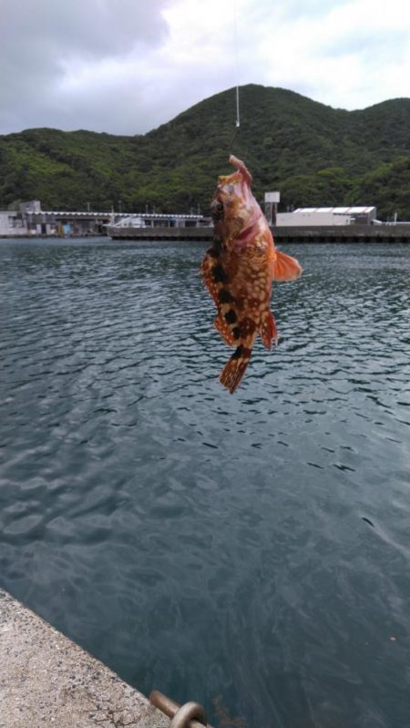 煙樹ヶ浜、ショアジギ