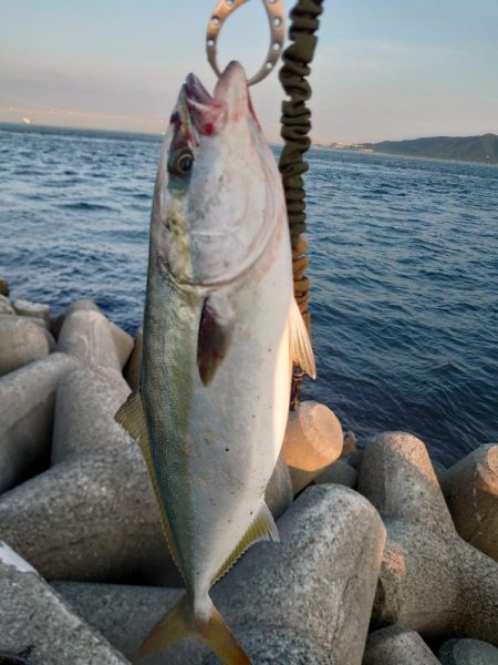 初青物🎣