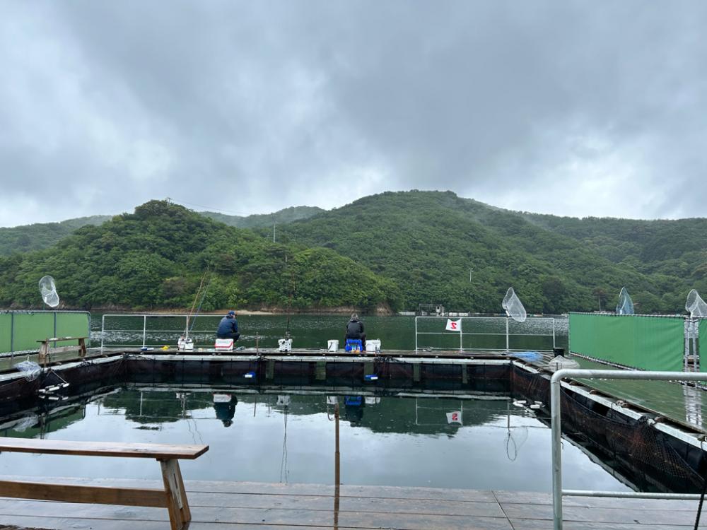 あなたに逢い鯛釣り堀