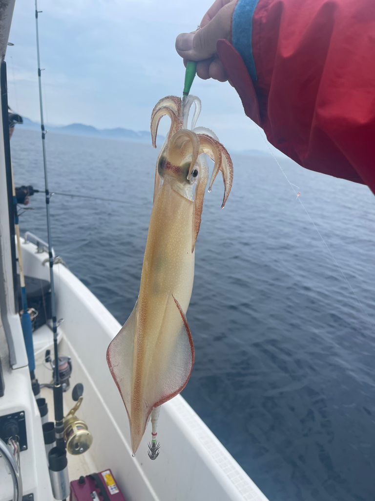 雨のマイボート釣行