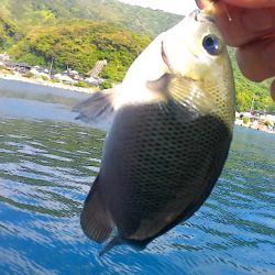 青海島で五目釣り
