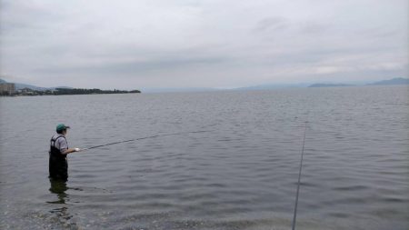 琵琶湖で小鮎釣り